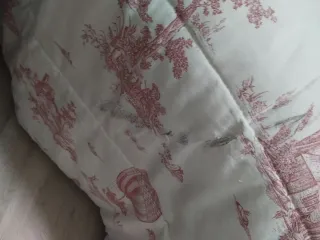 Edredón Toile de Jouy Beige/Rojo