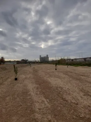 Jardinería i forestal