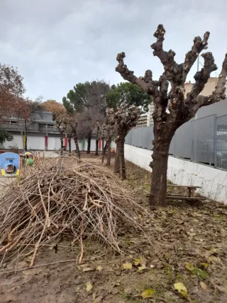 Jardinería i forestal