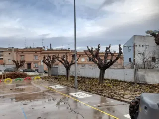 Jardinería i forestal