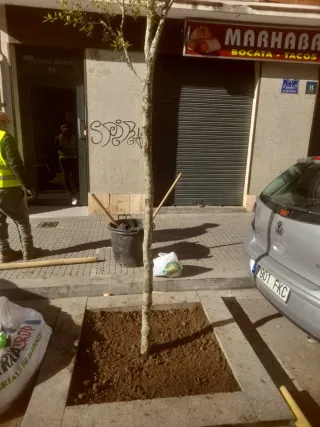 Jardinería i forestal