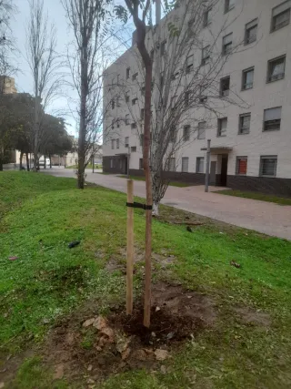 Jardinería i forestal