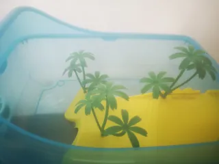 Tortuguera con palmeras