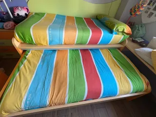 Estantería con peluches