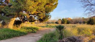 Vendo parcela en la huerta de Molina