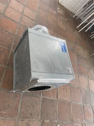 Extractor industrial Casals