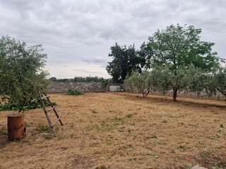 finca lloguer tancada regadiu cabaneta