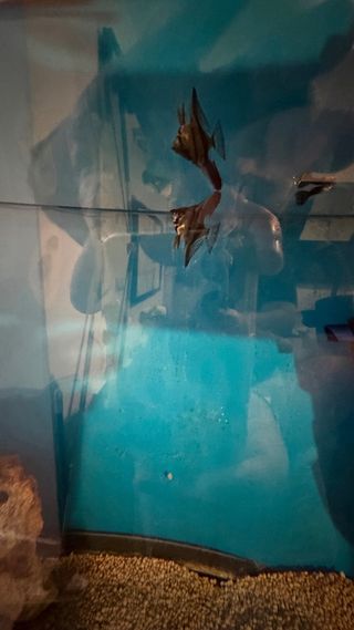 URGE Acuario con mueble blanco NEGOCIABLE