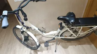 Bicicleta Eléctrica Wayscral