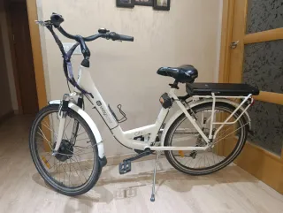 Bicicleta Eléctrica Wayscral