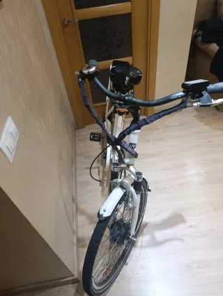 Bicicleta Eléctrica Wayscral