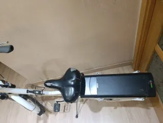 Bicicleta Eléctrica Wayscral