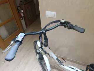 Bicicleta Eléctrica Wayscral