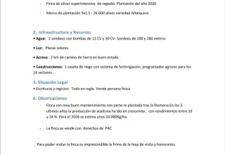 Finca Olivar Superintensivo 20.2 Ha Fuensalida