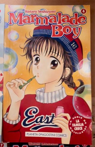 Manga MARMALADE BOY - LA FAMILIA CRECE 1999 Nuevo