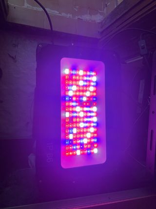 Foco LED 100W Cultivo