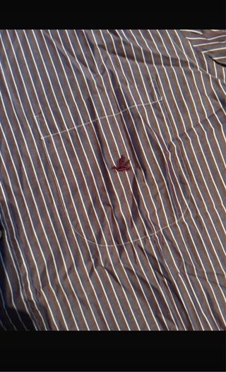 Brooksfield Camicie Uomo XXL 2 Pezzi