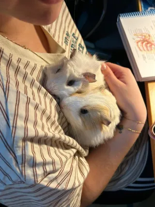 Dos casitas de tela con forma de tronco,