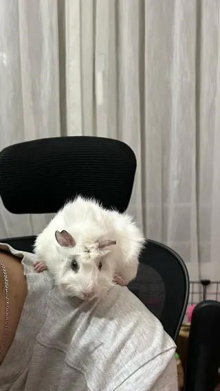 Dos casitas de tela con forma de tronco,