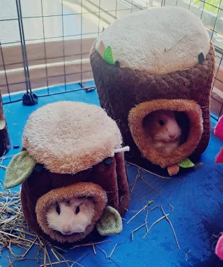 Dos casitas de tela con forma de tronco,