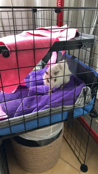 Dos casitas de tela con forma de tronco,