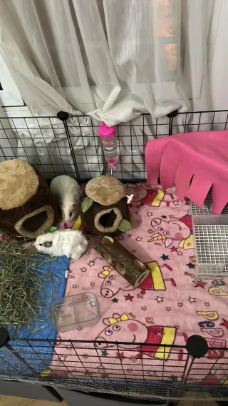 Dos casitas de tela con forma de tronco,