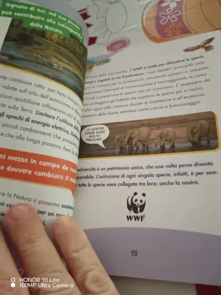 Un Pipistrello per amico