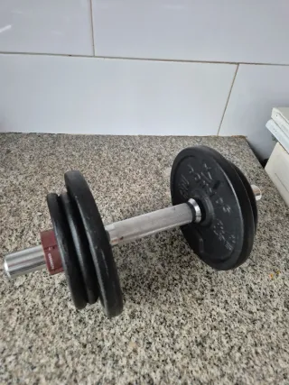 Mancuernas ajustables con discos