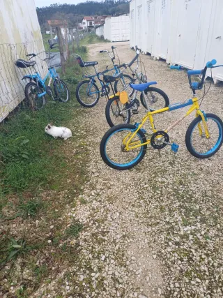 Bicicletas MTB y Carretera de Segunda Mano