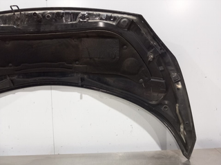 CAPO RENAULT SCENIC II (JM)