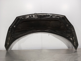 CAPO RENAULT SCENIC II (JM)