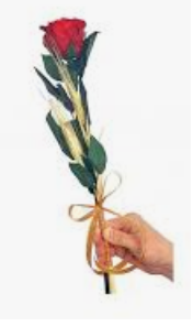 Oferta Trabajo Campaña St Jordi