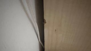 Grande scrivania in legno con cassetti