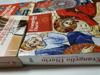 Lote De 4 Libros, Evangelio Diario Anual