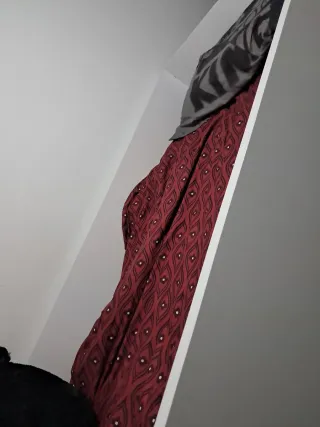 Cama tren con armario y estanterías