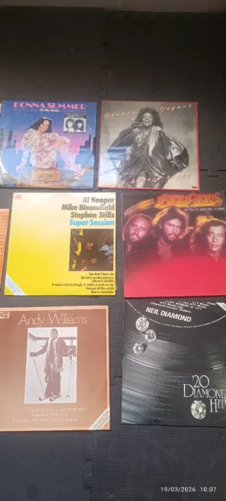 Lote Vinilos LP: Pop, Rock, Disco y Clásicos