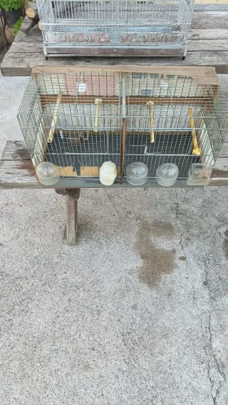 Jaula para pájaros blanca y roja