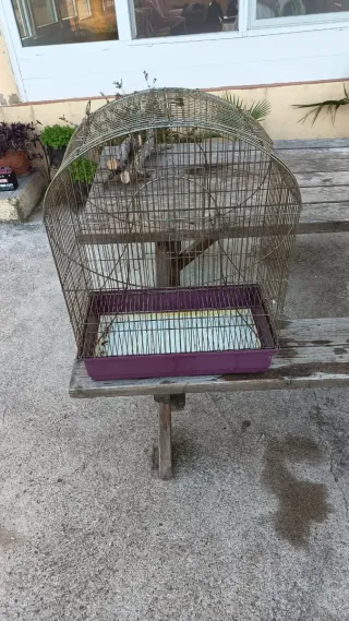 Jaula para pájaros blanca y roja