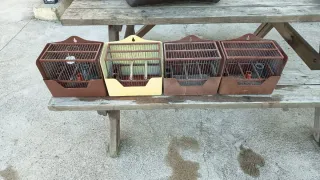 Jaula para pájaros blanca y roja