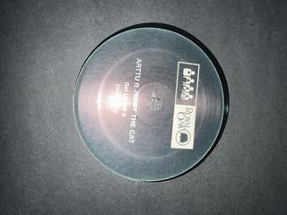 Lote 10 Vinilos Techno