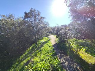 Solar en venta en Ciudad Monumental en Cáceres