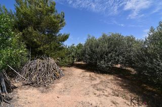 Chalet en venta en Avinguda Catalunya en Sant Carles de la Ràpita