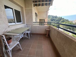 Piso en alquiler en El Mayorazgo - El Limonar en Málaga