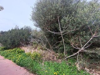 Terreno en venta en Sant Lluís