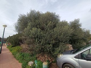 Terreno en venta en Sant Lluís