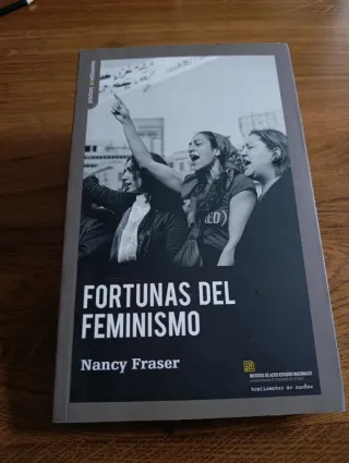 FORTUNAS DEL FEMINISMO (PRACTICAS CONSTITUYENTE...