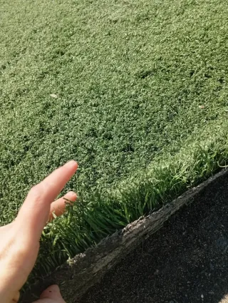 Césped artificial