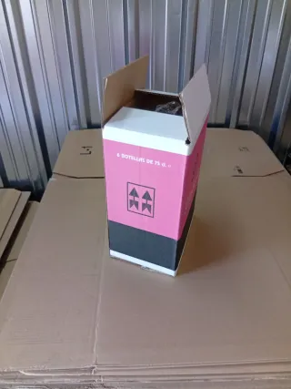 100 Scatole di Cartone 23x16x31 cm