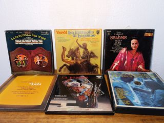 Lote 12 Estuches de Vinilos de Música Variada