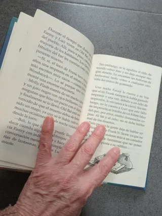 Luci y el secreto de la cripta (Spanish Edition)